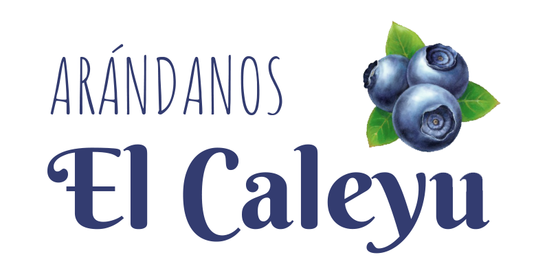 Arandanos El Caleyu